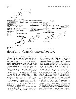 Bhagavan Medical Biochemistry 2001, page 737
